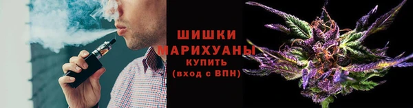 тгк Медвежьегорск