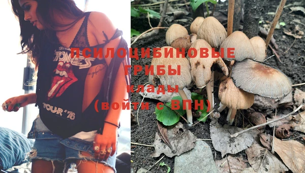ECSTASY Медногорск