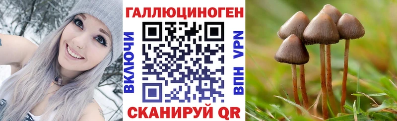 Купить  Дзержинск  Галлюциногенные грибы ЛСД 